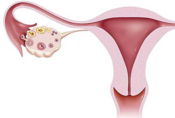 38岁高龄女性子宫内膜薄可以做试管婴儿吗？附高龄改善子宫内膜方法