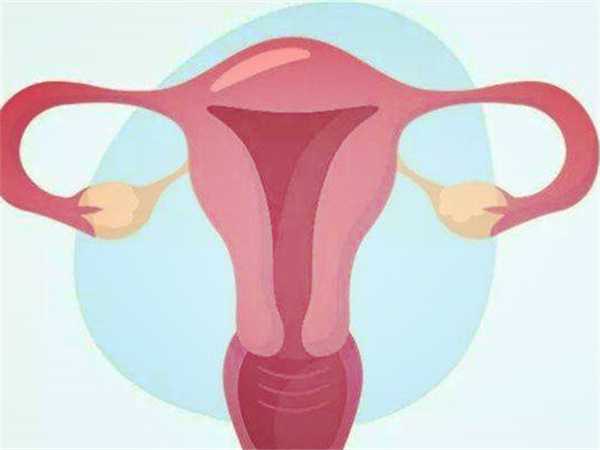 女性内膜转化从B到C是说明已经排卵了吗？