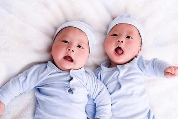 只移植一个囊胚会生双胞胎吗